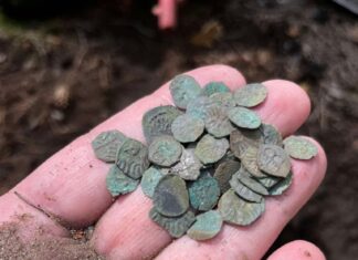 Niesamowity skarb średniowiecznych denarów Jagiellońskich! (GALERIA) Odkryty w okolicy Żmigrodu skarb denarów Jagiellońskich