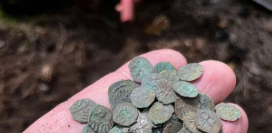 Niesamowity skarb średniowiecznych denarów Jagiellońskich! (GALERIA) Odkryty w okolicy Żmigrodu skarb denarów Jagiellońskich