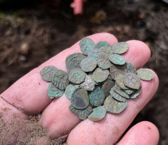 Niesamowity skarb średniowiecznych denarów Jagiellońskich! (GALERIA) Odkryty w okolicy Żmigrodu skarb denarów Jagiellońskich