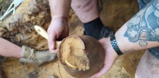 Trzy skarby w miesiąc?! Tak, oni tego dokonali! (GALERIA +FILM) Skarb z okresu wpływów rzymskich ze złotą bransoletą fot. Denar Kalisz