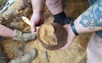 Trzy skarby w miesiąc?! Tak, oni tego dokonali! (GALERIA +FILM) Skarb z okresu wpływów rzymskich ze złotą bransoletą fot. Denar Kalisz