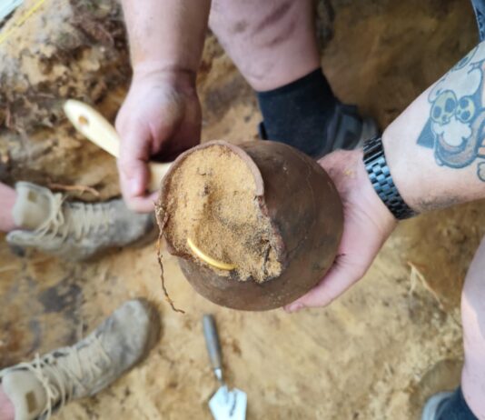 Trzy skarby w miesiąc?! Tak, oni tego dokonali! (GALERIA +FILM) Skarb z okresu wpływów rzymskich ze złotą bransoletą fot. Denar Kalisz