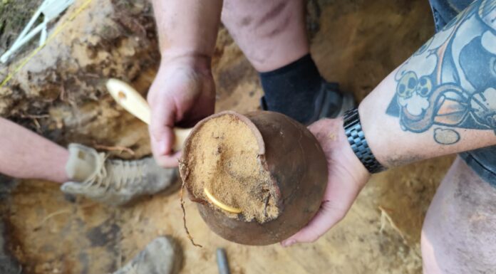 Trzy skarby w miesiąc?! Tak, oni tego dokonali! (GALERIA +FILM) Skarb z okresu wpływów rzymskich ze złotą bransoletą fot. Denar Kalisz