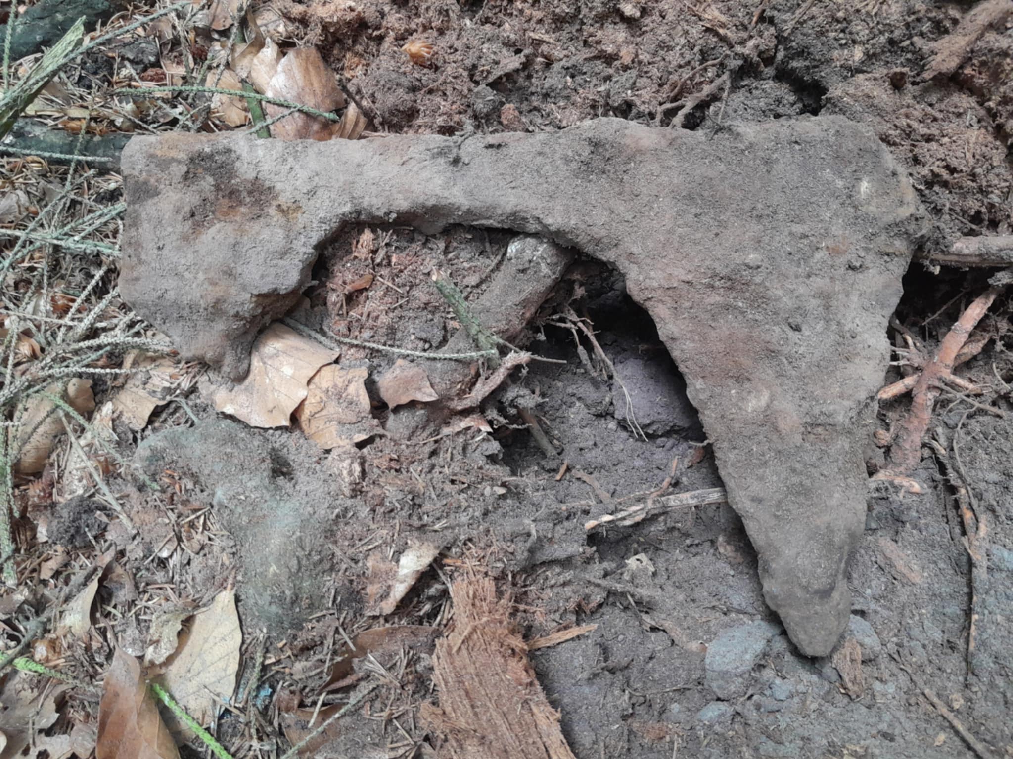 Średniowieczny topór odkryty w lesie pod Szczecinem (GALERIA)