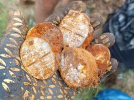 Depozyt polskich znaków tożsamości wz.31 i odkrycia związane z wrześniem 1939r. (GALERIA) znaki tożsamości