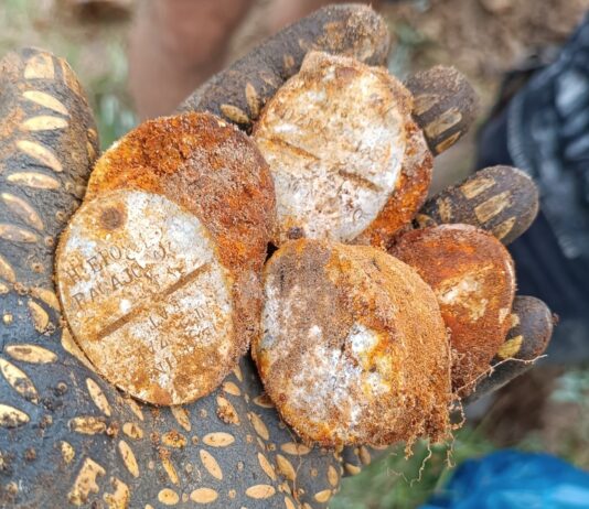 Depozyt polskich znaków tożsamości wz.31 i odkrycia związane z wrześniem 1939r. (GALERIA) znaki tożsamości