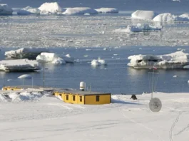 Polacy odkryli szczątki zaginionego polarnika Dennisa „Tinka” Bella fot. Tomasz Janecki