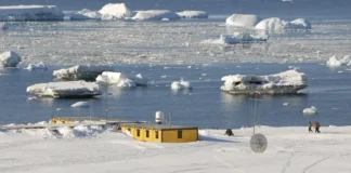 Polacy odkryli szczątki zaginionego polarnika Dennisa „Tinka” Bella fot. Tomasz Janecki