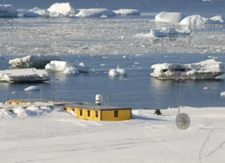 Polacy odkryli szczątki zaginionego polarnika Dennisa „Tinka” Bella fot. Tomasz Janecki