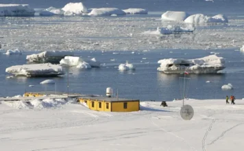 Polacy odkryli szczątki zaginionego polarnika Dennisa „Tinka” Bella fot. Tomasz Janecki