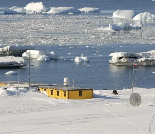 Polacy odkryli szczątki zaginionego polarnika Dennisa „Tinka” Bella fot. Tomasz Janecki