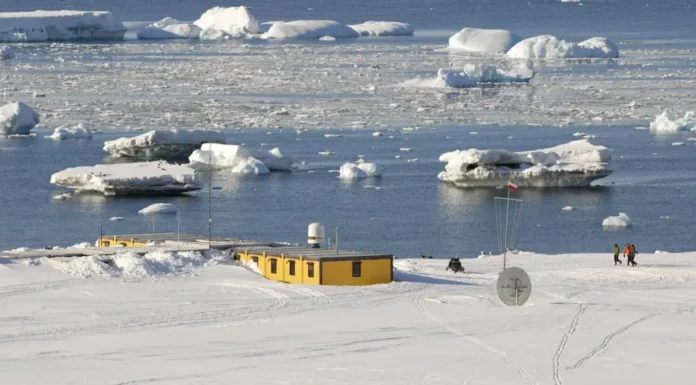 Polacy odkryli szczątki zaginionego polarnika Dennisa „Tinka” Bella fot. Tomasz Janecki