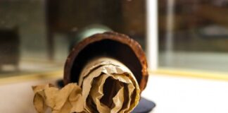 Sensacyjne odkrycie kapsuły czasu w Legnicy z 1650 r. (GALERIA) najstarsza na świecie kapsuła czasu