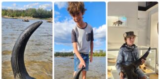 Możdżeń prażubra sprzed ponad 9tys. lat odkryty w Wiśle! (GALERIA) Możdżeń prażubra odkryty w Wiśle