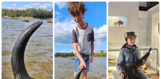 Możdżeń prażubra sprzed ponad 9tys. lat odkryty w Wiśle! (GALERIA) Możdżeń prażubra odkryty w Wiśle