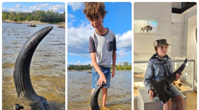 Możdżeń prażubra sprzed ponad 9tys. lat odkryty w Wiśle! (GALERIA) Możdżeń prażubra odkryty w Wiśle