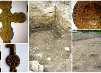 Badania archeologiczne na trasie budowy drogi ekspresowej S17 w rejonie Lubyczy Królewskiej (GALERIA) Badania-archeologiczne