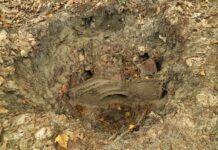 Stara młocarnia ukryta w jednym z podkarpackich lasów (GALERIA)