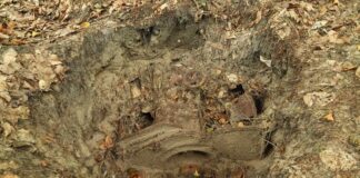 Stara młocarnia ukryta w jednym z podkarpackich lasów (GALERIA)