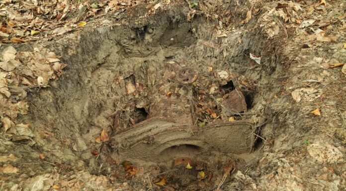 Stara młocarnia ukryta w jednym z podkarpackich lasów (GALERIA)