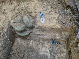 Skarb z początku epoki żelaza odkryty na terenie Nadleśnictwa Gdańsk (GALERIA) ulozenie-skarbu-w-ziemi.