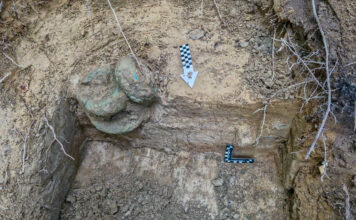 Skarb z początku epoki żelaza odkryty na terenie Nadleśnictwa Gdańsk (GALERIA) ulozenie-skarbu-w-ziemi.