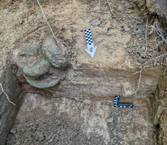 Skarb z początku epoki żelaza odkryty na terenie Nadleśnictwa Gdańsk (GALERIA) ulozenie-skarbu-w-ziemi.