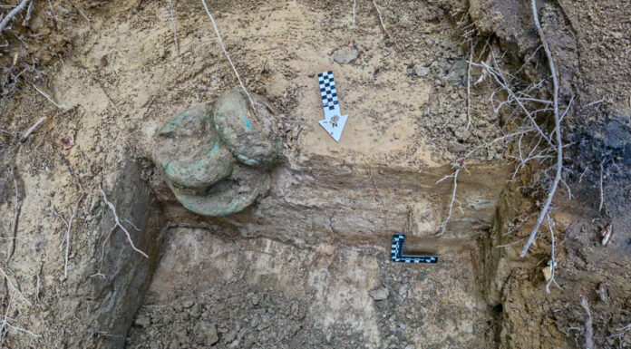 Skarb z początku epoki żelaza odkryty na terenie Nadleśnictwa Gdańsk (GALERIA) ulozenie-skarbu-w-ziemi.