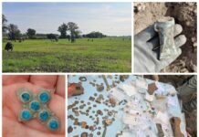 Bogactwo ziem gniewkowskich odkryte przez poszukiwaczy (GALERIA)