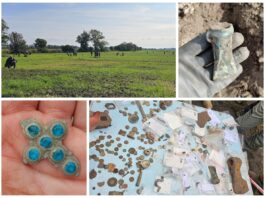 Bogactwo ziem gniewkowskich odkryte przez poszukiwaczy (GALERIA)