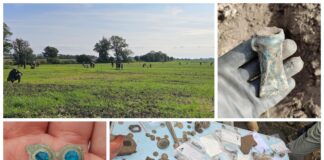 Bogactwo ziem gniewkowskich odkryte przez poszukiwaczy (GALERIA)