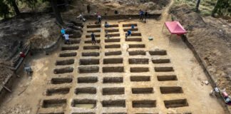 Ponad 60 nieznanych grobów odkrytych na terenie obozu w Łambinowicach Kwatera obejmowała 60 pojedynczych grobów (fot. D. Frymark; zbiory Centralnego Muzeum Jeńców Wojennych).