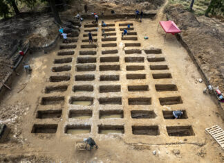 Ponad 60 nieznanych grobów odkrytych na terenie obozu w Łambinowicach Kwatera obejmowała 60 pojedynczych grobów (fot. D. Frymark; zbiory Centralnego Muzeum Jeńców Wojennych).