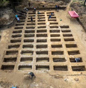 Ponad 60 nieznanych grobów odkrytych na terenie obozu w Łambinowicach Kwatera obejmowała 60 pojedynczych grobów (fot. D. Frymark; zbiory Centralnego Muzeum Jeńców Wojennych).