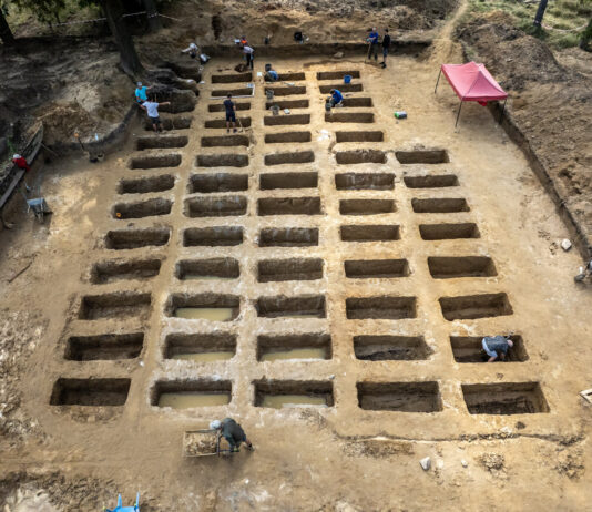 Ponad 60 nieznanych grobów odkrytych na terenie obozu w Łambinowicach Kwatera obejmowała 60 pojedynczych grobów (fot. D. Frymark; zbiory Centralnego Muzeum Jeńców Wojennych).