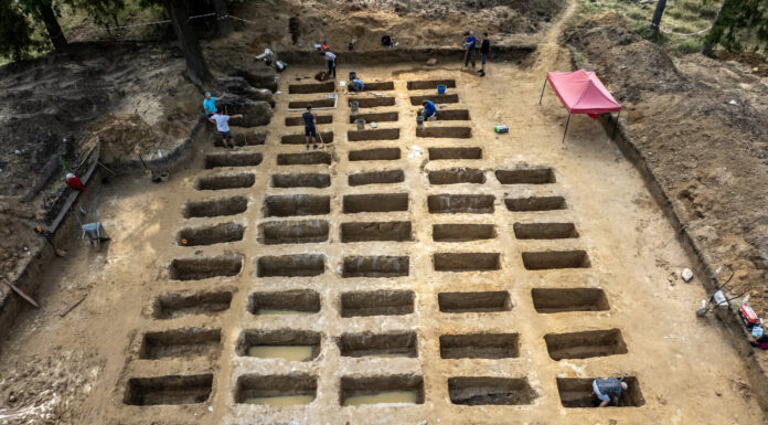 Ponad 60 nieznanych grobów odkrytych na terenie obozu w Łambinowicach Kwatera obejmowała 60 pojedynczych grobów (fot. D. Frymark; zbiory Centralnego Muzeum Jeńców Wojennych).