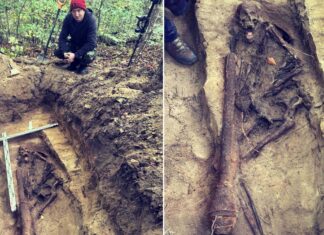 Szczątki niemieckiego żołnierza odnalezione w Nadleśnictwie Gdańsk (GALERIA) Odnalezione szczątki niemieckiego żołnierza