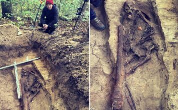 Szczątki niemieckiego żołnierza odnalezione w Nadleśnictwie Gdańsk (GALERIA) Odnalezione szczątki niemieckiego żołnierza