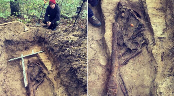 Szczątki niemieckiego żołnierza odnalezione w Nadleśnictwie Gdańsk (GALERIA) Odnalezione szczątki niemieckiego żołnierza