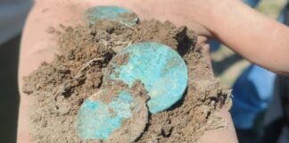 W Bukowcu Wielkim natrafiono na skarb 162 srebrnych monet z drugiej połowy XVII wieku (GALERIA) prezentowane monety