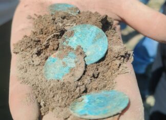 W Bukowcu Wielkim natrafiono na skarb 162 srebrnych monet z drugiej połowy XVII wieku (GALERIA) prezentowane monety