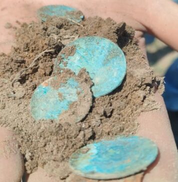 W Bukowcu Wielkim natrafiono na skarb 162 srebrnych monet z drugiej połowy XVII wieku (GALERIA) prezentowane monety