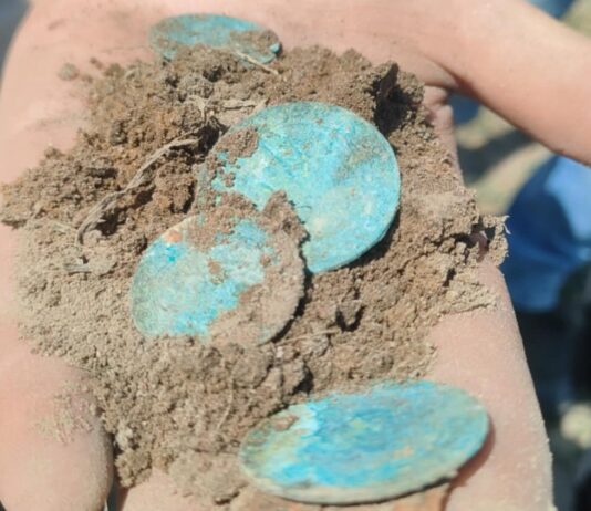 W Bukowcu Wielkim natrafiono na skarb 162 srebrnych monet z drugiej połowy XVII wieku (GALERIA) prezentowane monety