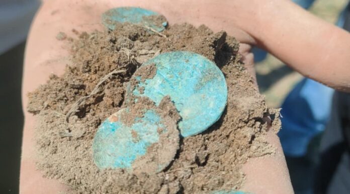 W Bukowcu Wielkim natrafiono na skarb 162 srebrnych monet z drugiej połowy XVII wieku (GALERIA) prezentowane monety