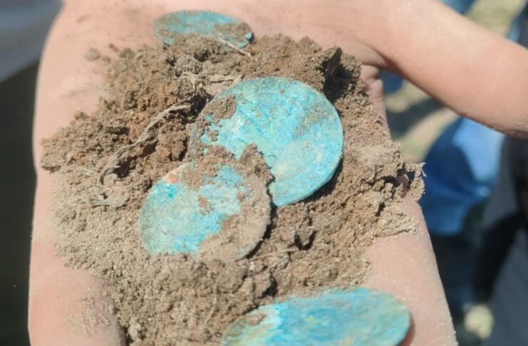 W Bukowcu Wielkim natrafiono na skarb 162 srebrnych monet z drugiej połowy XVII wieku (GALERIA) prezentowane monety