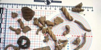 Wyjątkowe znaleziska w okolicach Olecka. Odkryto jaćwieskie cmentarzysko ciałopalne (GALERIA) zbiór znalezisk odkrytych na cmentarzu