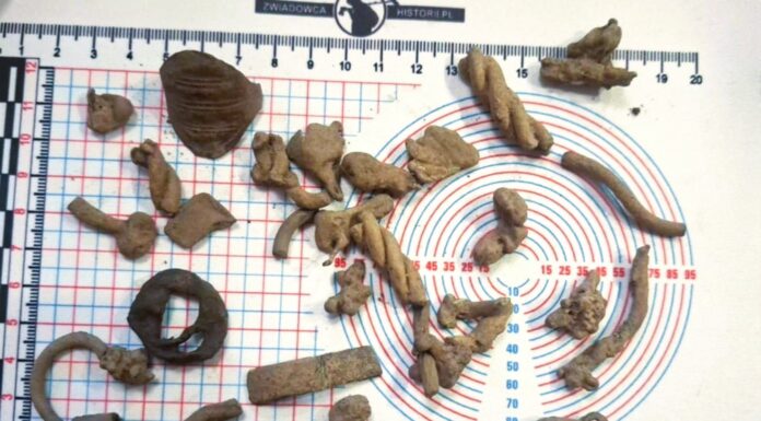 Wyjątkowe znaleziska w okolicach Olecka. Odkryto jaćwieskie cmentarzysko ciałopalne (GALERIA) zbiór znalezisk odkrytych na cmentarzu