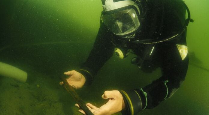 Książęca włócznia Piastów – Niezwykłe odkrycie archeologów podwodnych na Ostrowie Lednickim (GALERIA) Fot. M. Trzciński