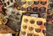 Niezwykłe artefakty po przedwojennej fabryce czekolady odkryte w Warszawie (GALERIA) foremki do czekoladek