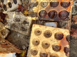 Niezwykłe artefakty po przedwojennej fabryce czekolady odkryte w Warszawie (GALERIA) foremki do czekoladek